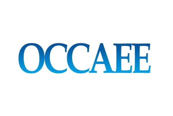 Custom Logo Design OCCAEE