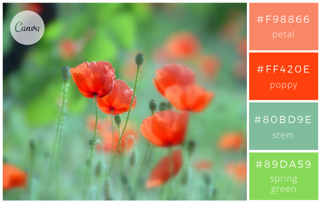 Canva
