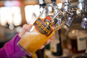 Woodys Wing house