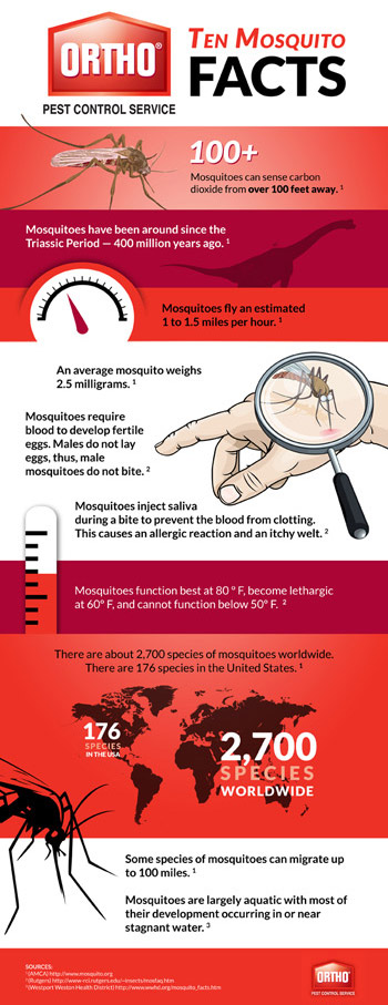 Ortho Pest Control Mosquito Facts Infographic