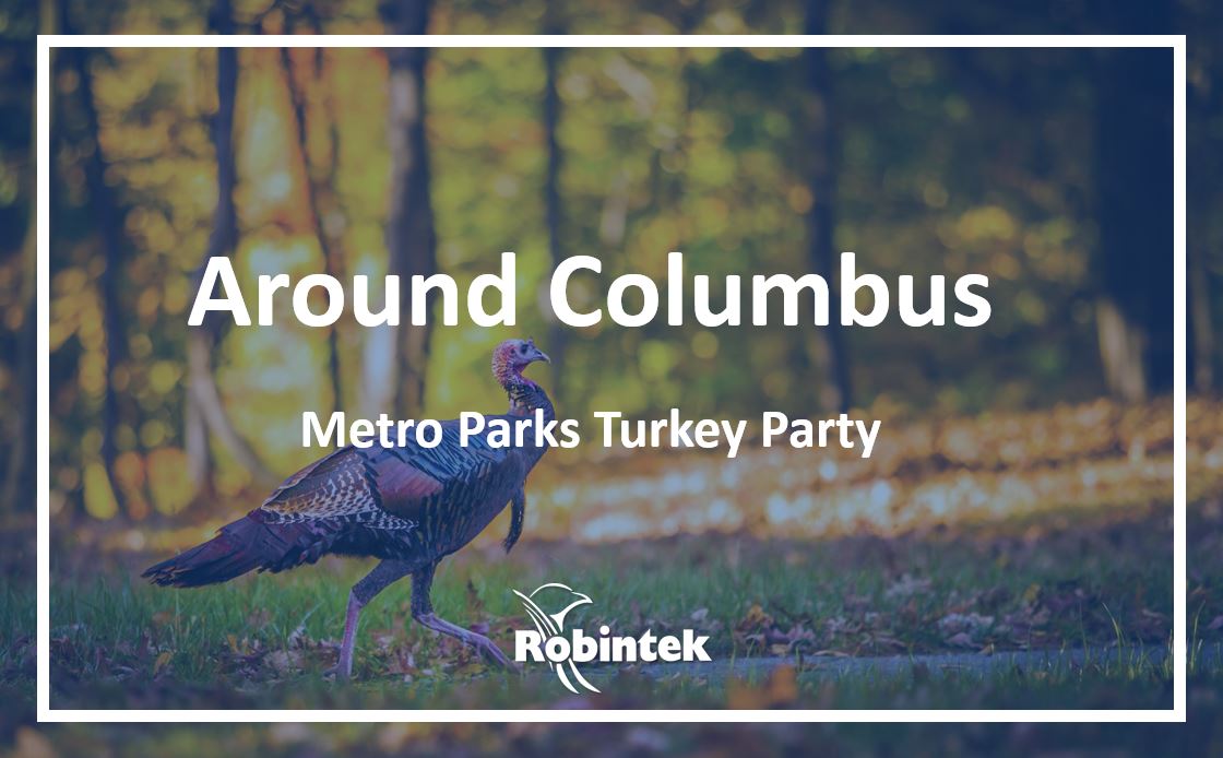 turkey in the woods