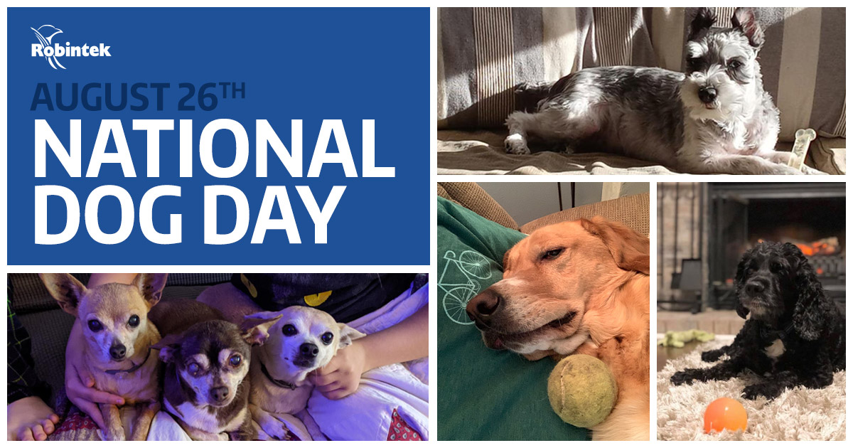 Celebrating National Dog Day August 26th Robintek Columbus Website