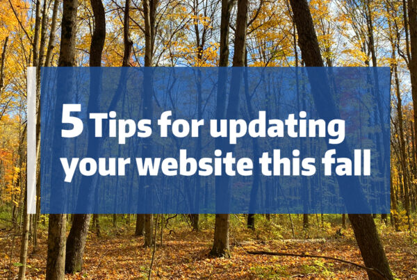 Fall forest of yellow leaved trees with text "5 tips for updating your website this fall"