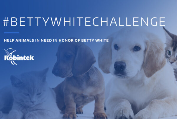 cats and dogs on a blue and white gradient background with the text "bettywhitechallenge: Help animals in need in honor of Betty White"