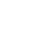 Icon Content Writing Budget