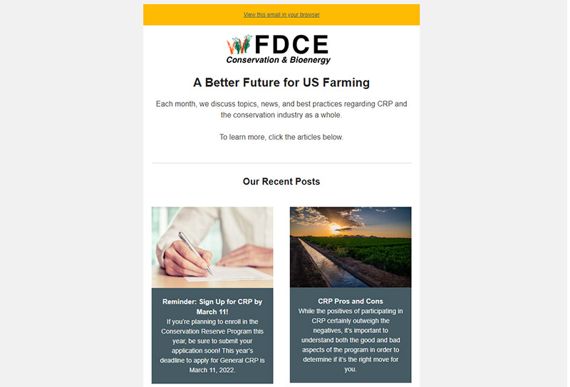 Email Newsletter Copywriting Content Writing