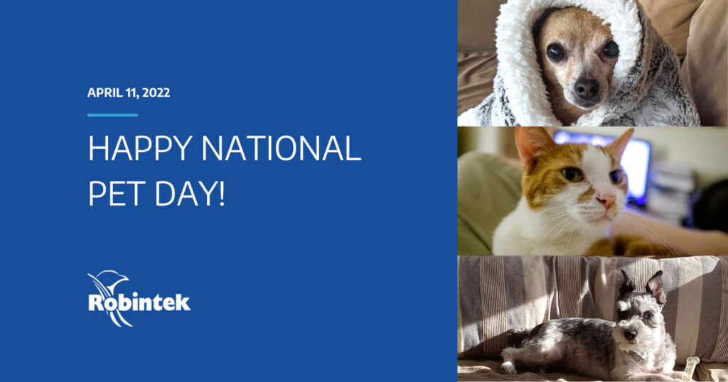 National Pet Day Robintek - Web Design Company Columbus Ohio